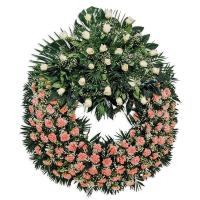 Corona premium aro rosa cabezal blanco