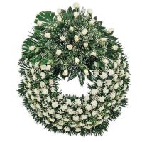 Corona premium aro blanco cabezal blanco